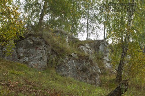 IMG_2628_r